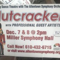 Dolly Haltzman Dance Academy/ Repertory Ballet Academy ico