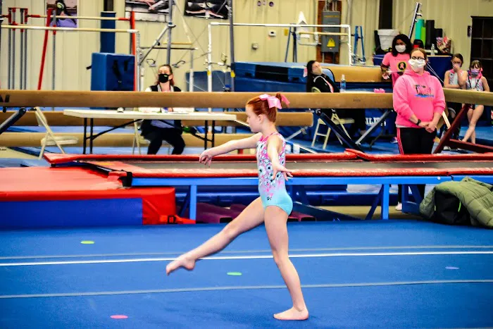 Power & Grace Gymnastics and Dance Inc. Picture 1