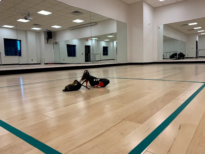 DOJO DANCE COMPANY Picture 7