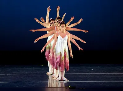 Dance Pointe Performing Arts Center Picture 8