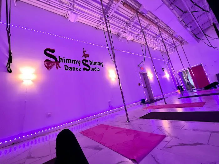 Shimmy Shimmy Dance Studio Picture 5