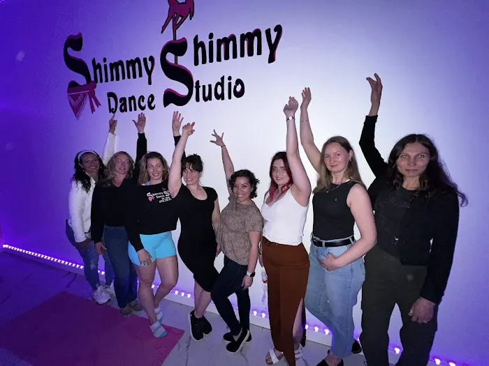 Shimmy Shimmy Dance Studio Picture 2