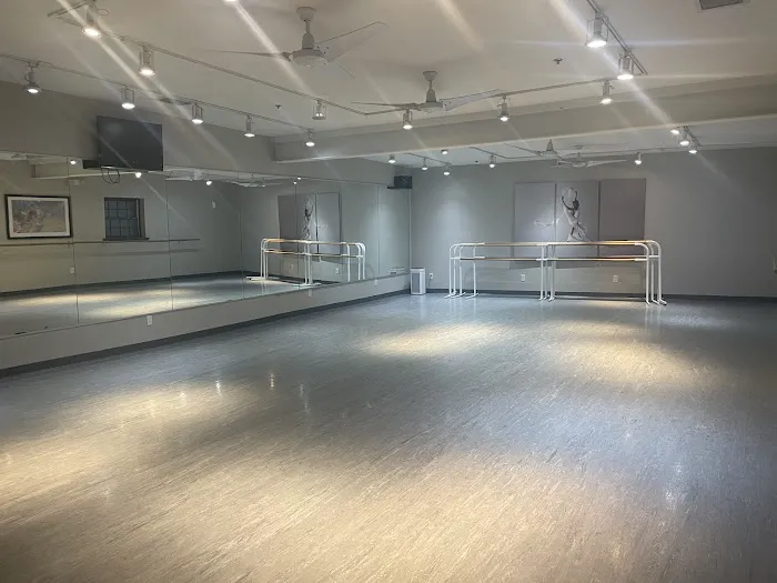 Flash Pointe Dance Picture 3
