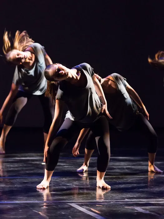 Institute of Dance Artistry Picture 1