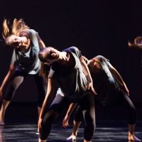 Institute of Dance Artistry ico