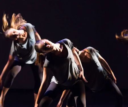 Institute of Dance Artistry