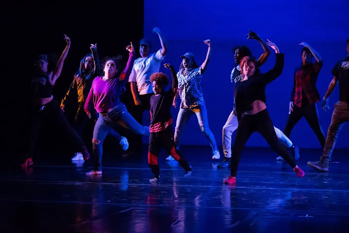 Institute of Dance Artistry Picture 4