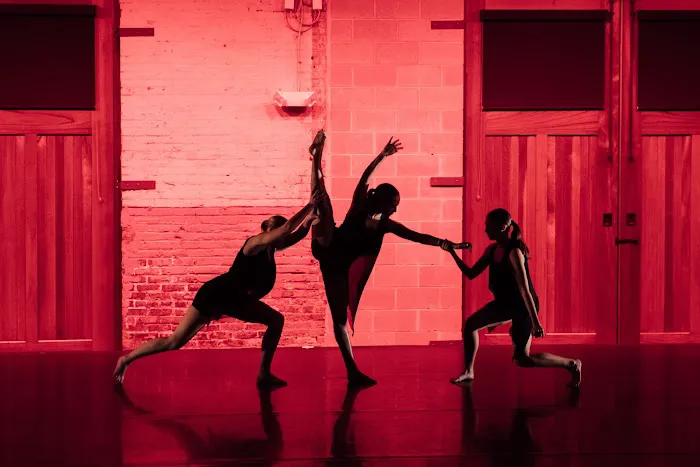 Institute of Dance Artistry Picture 10