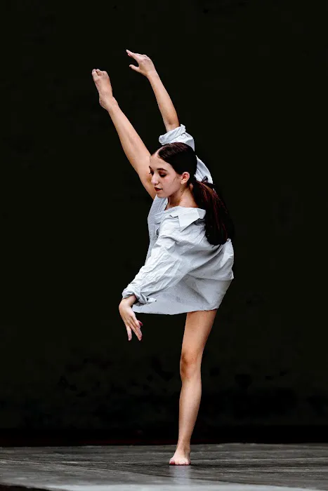 Institute of Dance Artistry Picture 9