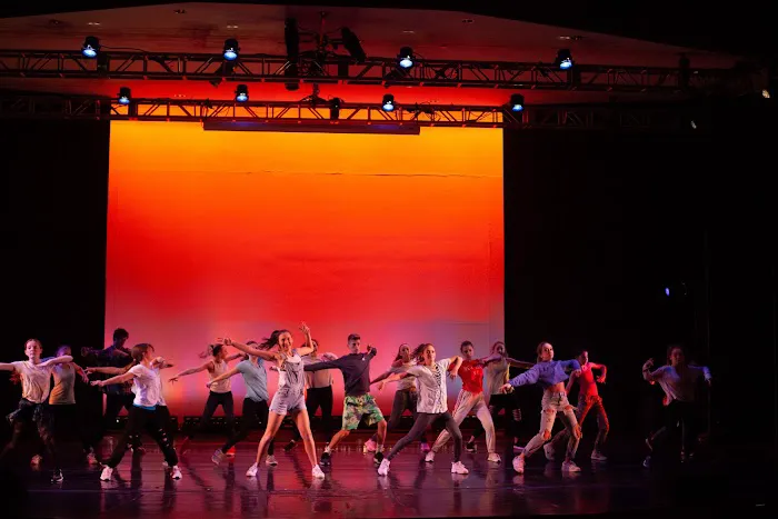 Institute of Dance Artistry Picture 7