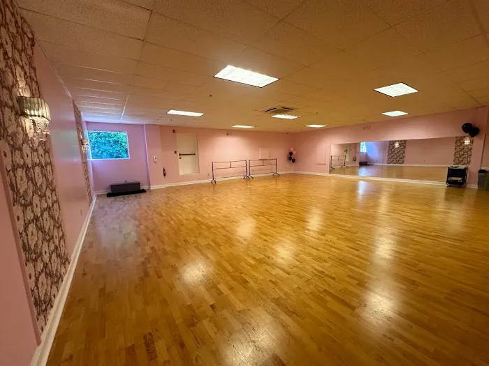 Reverie Dance Company Picture 2