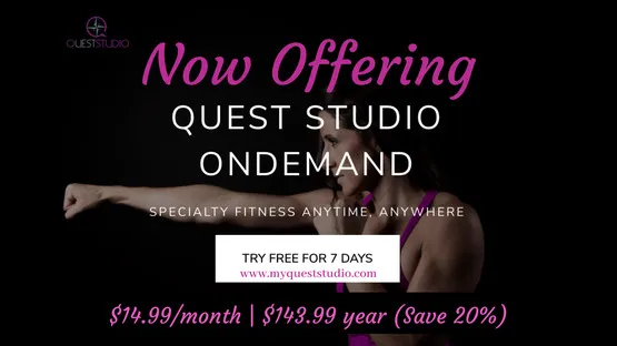 Quest Studio Picture 5