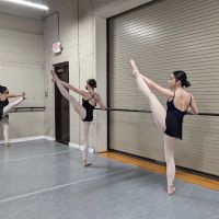 Devine School Dance ico