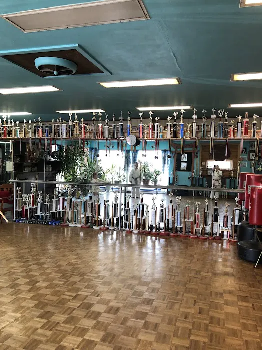 Carla's Dance Gym Center & Mumei Dojo Picture 5