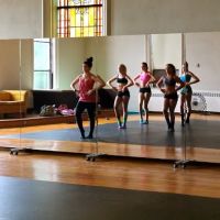 Artists In Motion Performing Arts ico