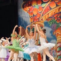 Denise Gucwa's School of Dance ico