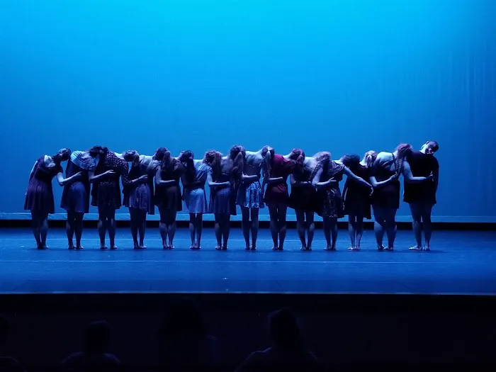 Visions Dance Company Picture 8