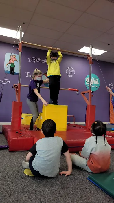 The Little Gym of Kingston Picture 6