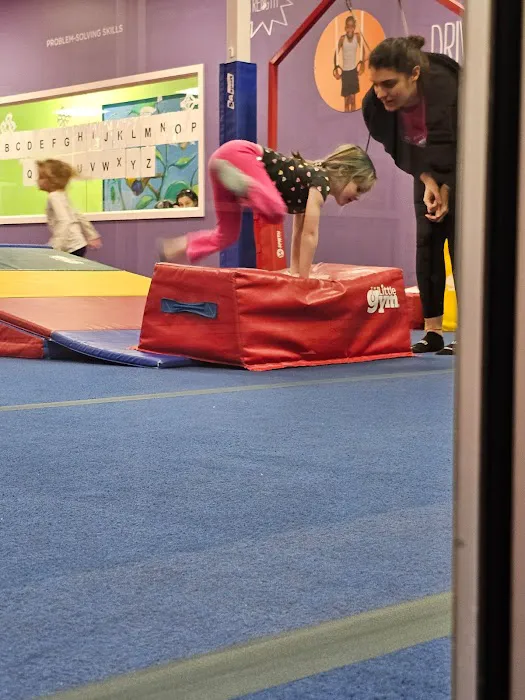 The Little Gym of Kingston Picture 10