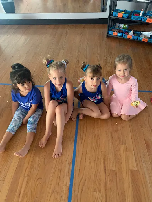 All Star Dance Company LLC Picture 9