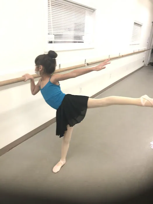 Trumbull Performing Dance Academy Picture 7