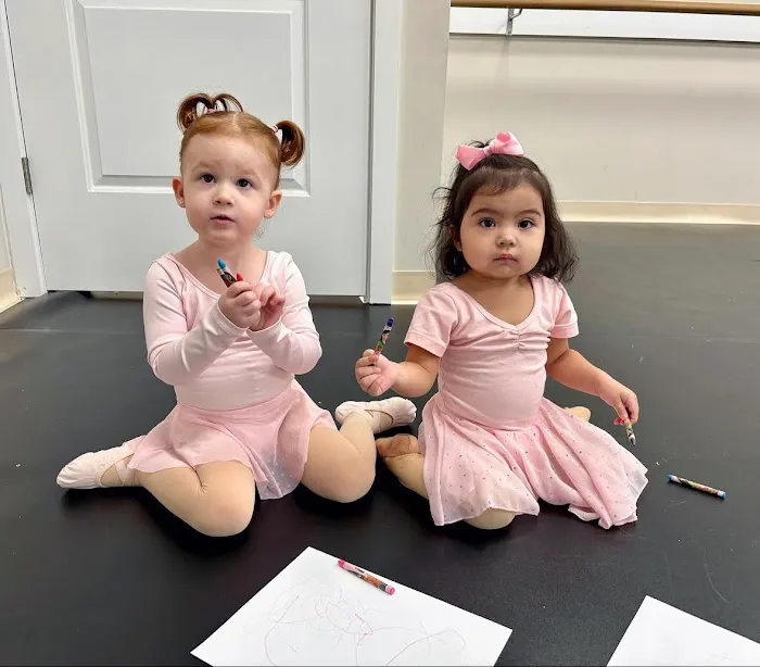 Trumbull Performing Dance Academy Picture 3