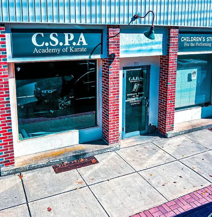 Children's Studio for the Performing Arts - CSPA Picture 2