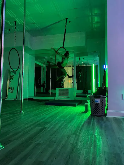 Lovely Lioness Pole Dance & Aerial Fitness Picture 8