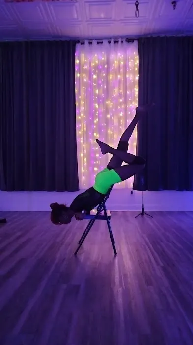 Lovely Lioness Pole Dance & Aerial Fitness Picture 1