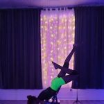 Lovely Lioness Pole Dance & Aerial Fitness