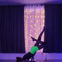 Lovely Lioness Pole Dance & Aerial Fitness ico