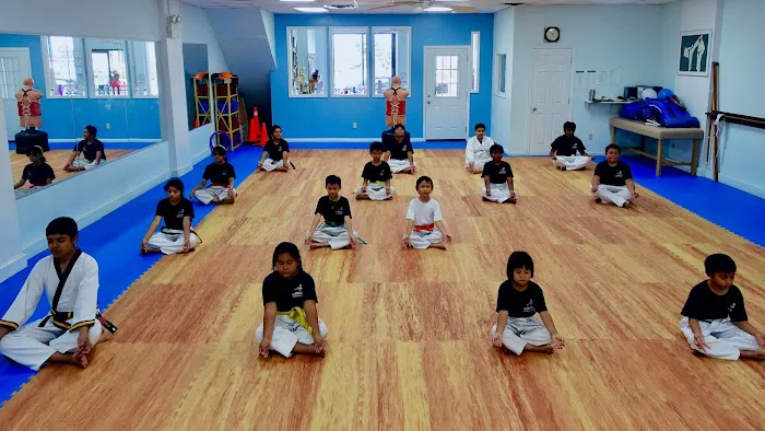 United Martial Arts Academy Picture 2