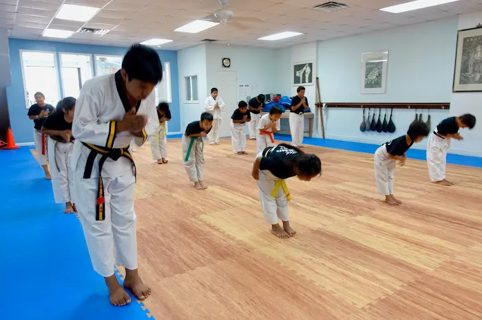 United Martial Arts Academy Picture 1