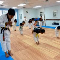 United Martial Arts Academy ico