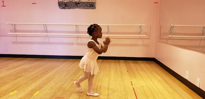 Dance Inc Center for the Arts Picture 1