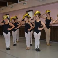 Maxine's Studio of Dance and Vineland Regional Dance Co ico
