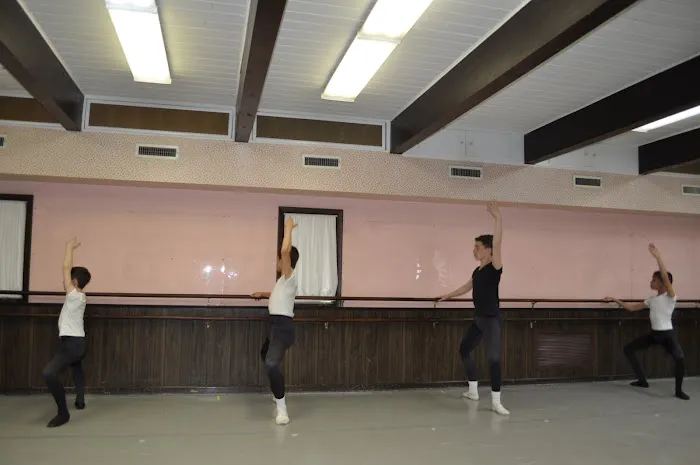 Maxine's Studio of Dance and Vineland Regional Dance Co Picture 2