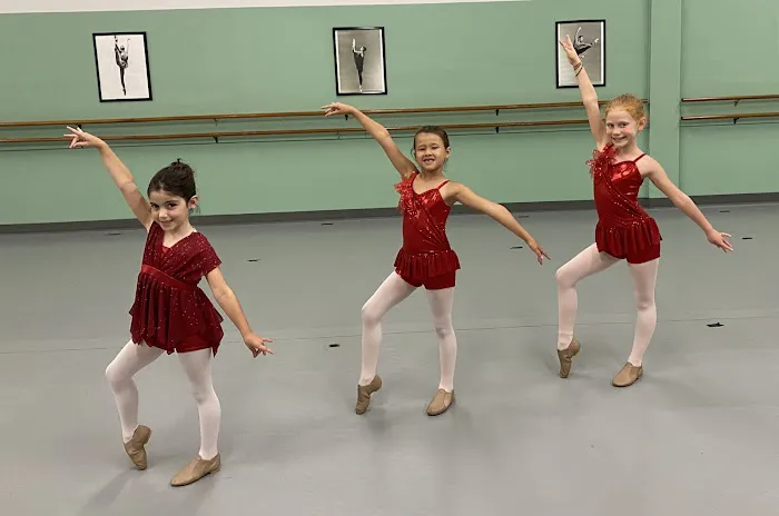 South Jersey Ballet Theater Picture 8
