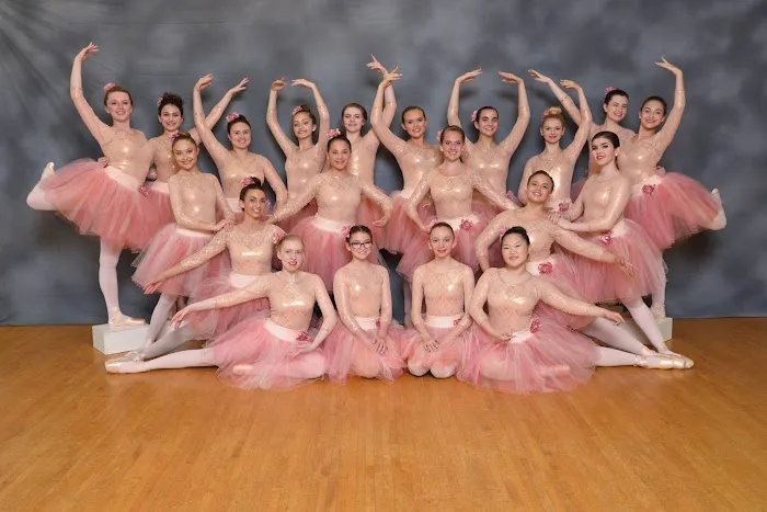 The Arts of the Dance Centre Picture 2