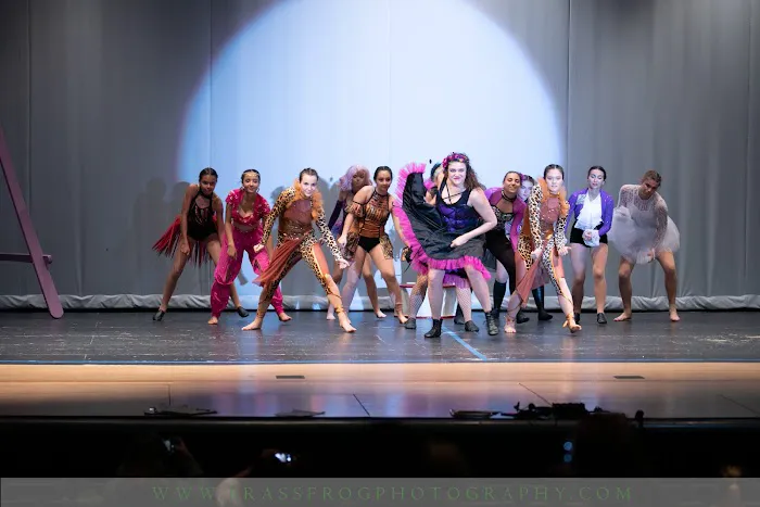 The Arts of the Dance Centre Picture 6