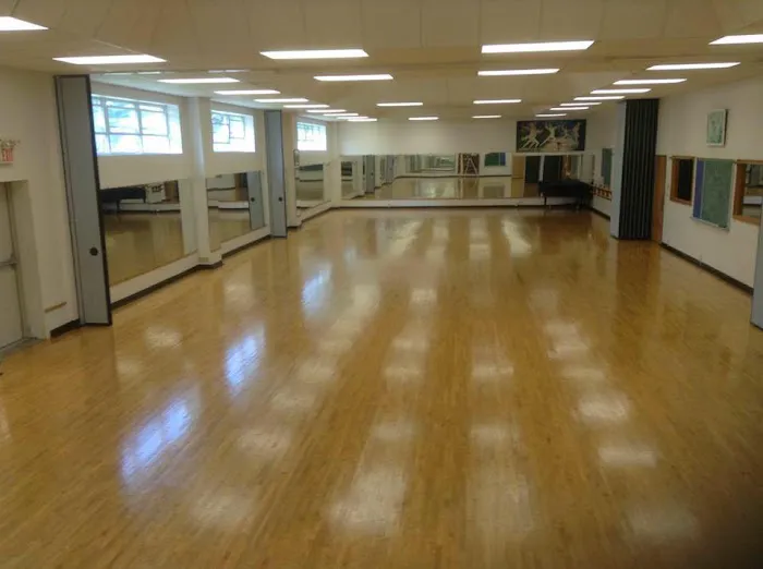 The Arts of the Dance Centre Picture 3