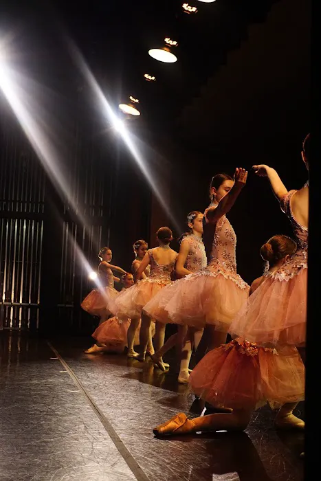 Janka's Level Up Dance Academy, LLC Picture 2