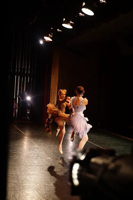 Janka's Level Up Dance Academy, LLC Picture 1