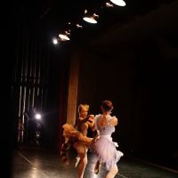 Janka's Level Up Dance Academy, LLC ico