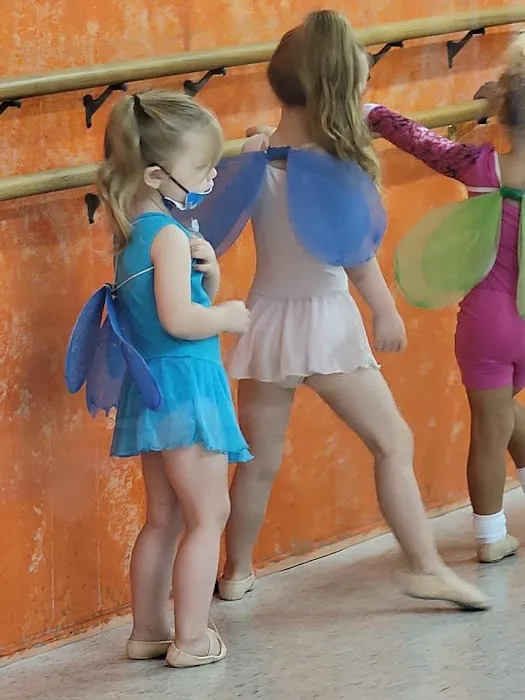 Best of Entertainment Dance Academy Picture 2