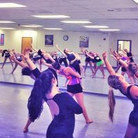 Institute of Dance Artistry ico