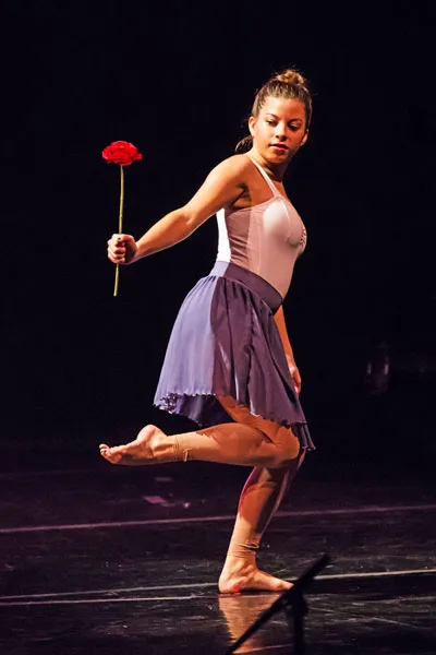 Institute of Dance Artistry Picture 4