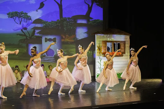 Philadelphia Dance Theatre Picture 3