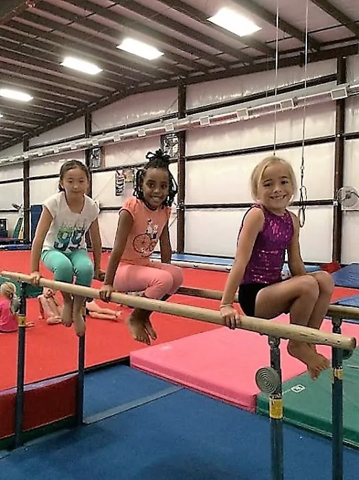 Upper Merion Dance & Gymnastics Center LLC Picture 1