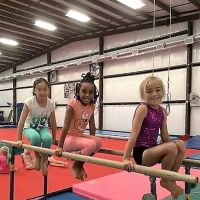 Upper Merion Dance & Gymnastics Center LLC ico